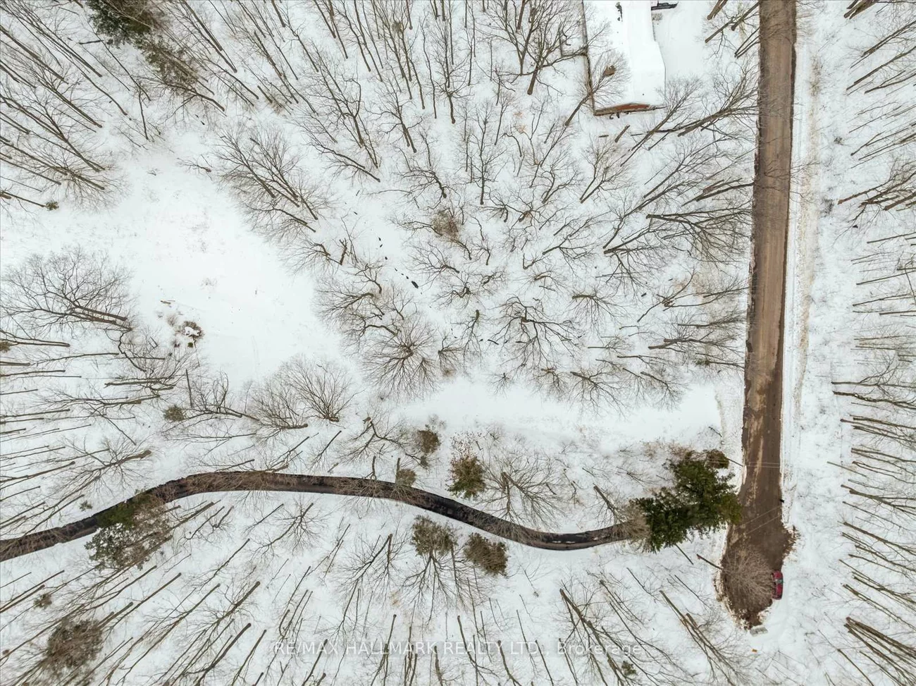 430, Churchill, Rural King, King