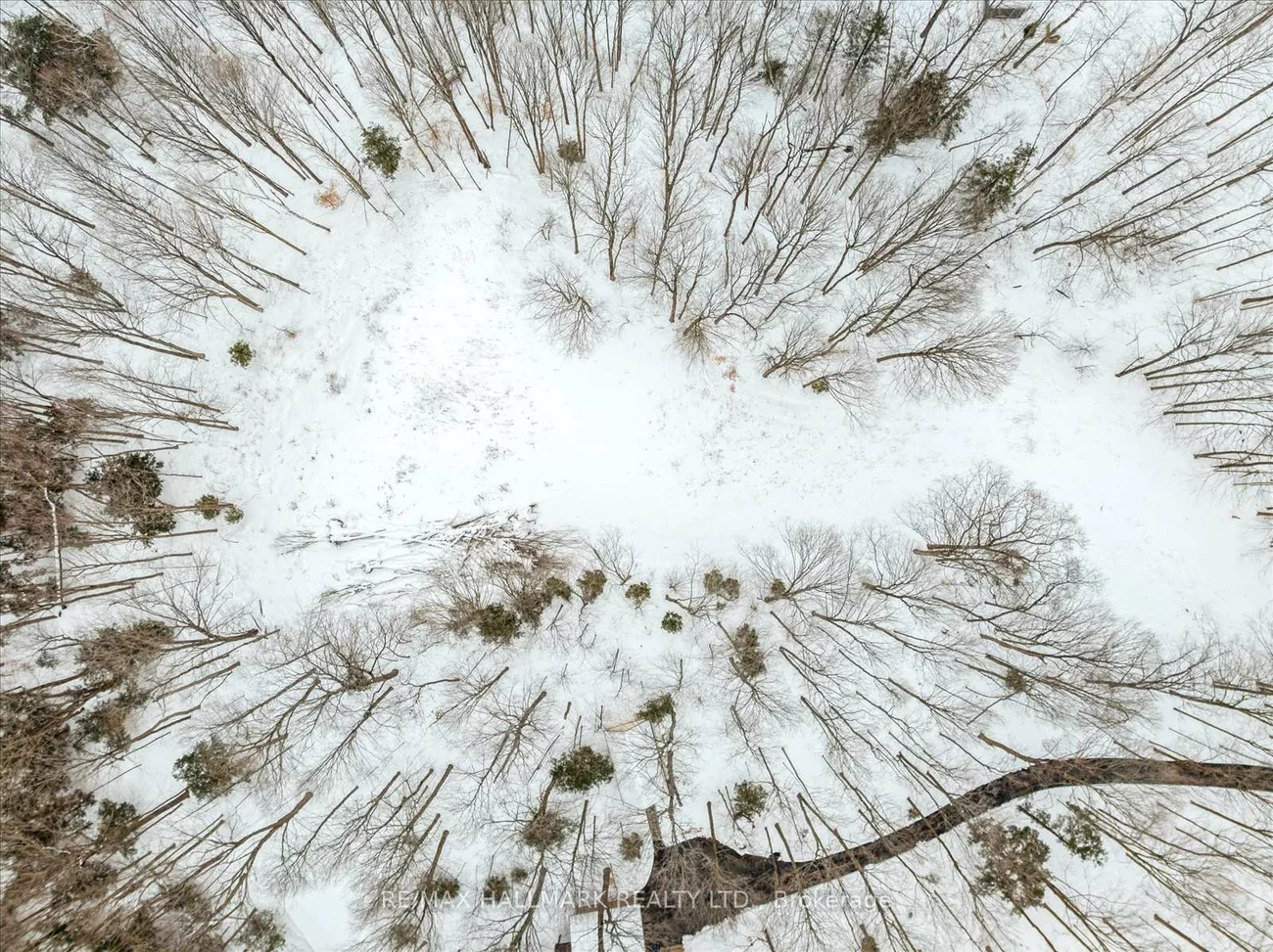 430, Churchill, Rural King, King