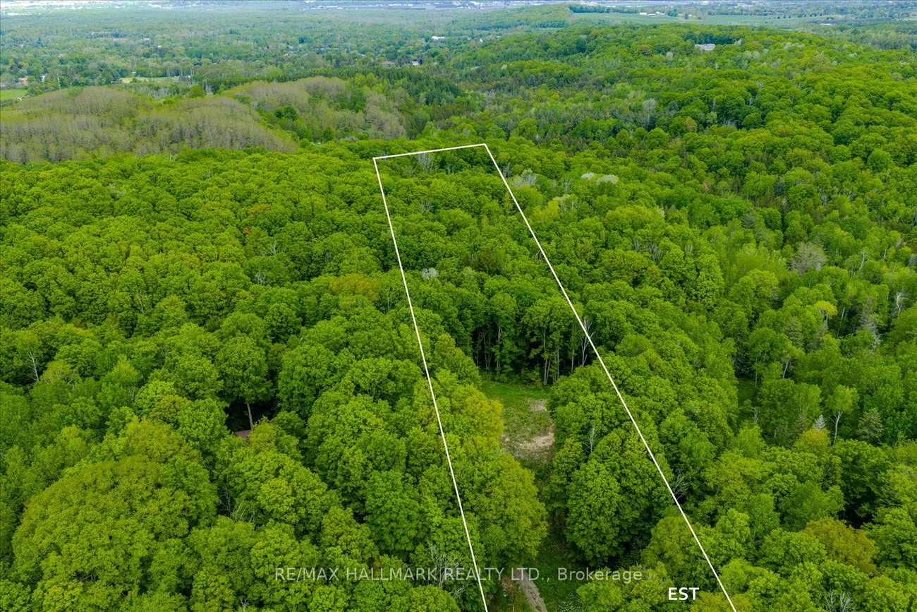 430, Churchill, Rural King, King