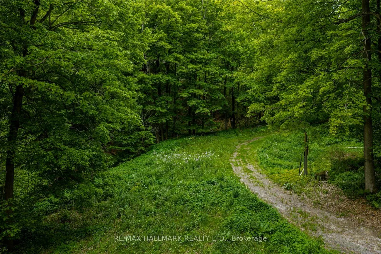 430, Churchill, Rural King, King