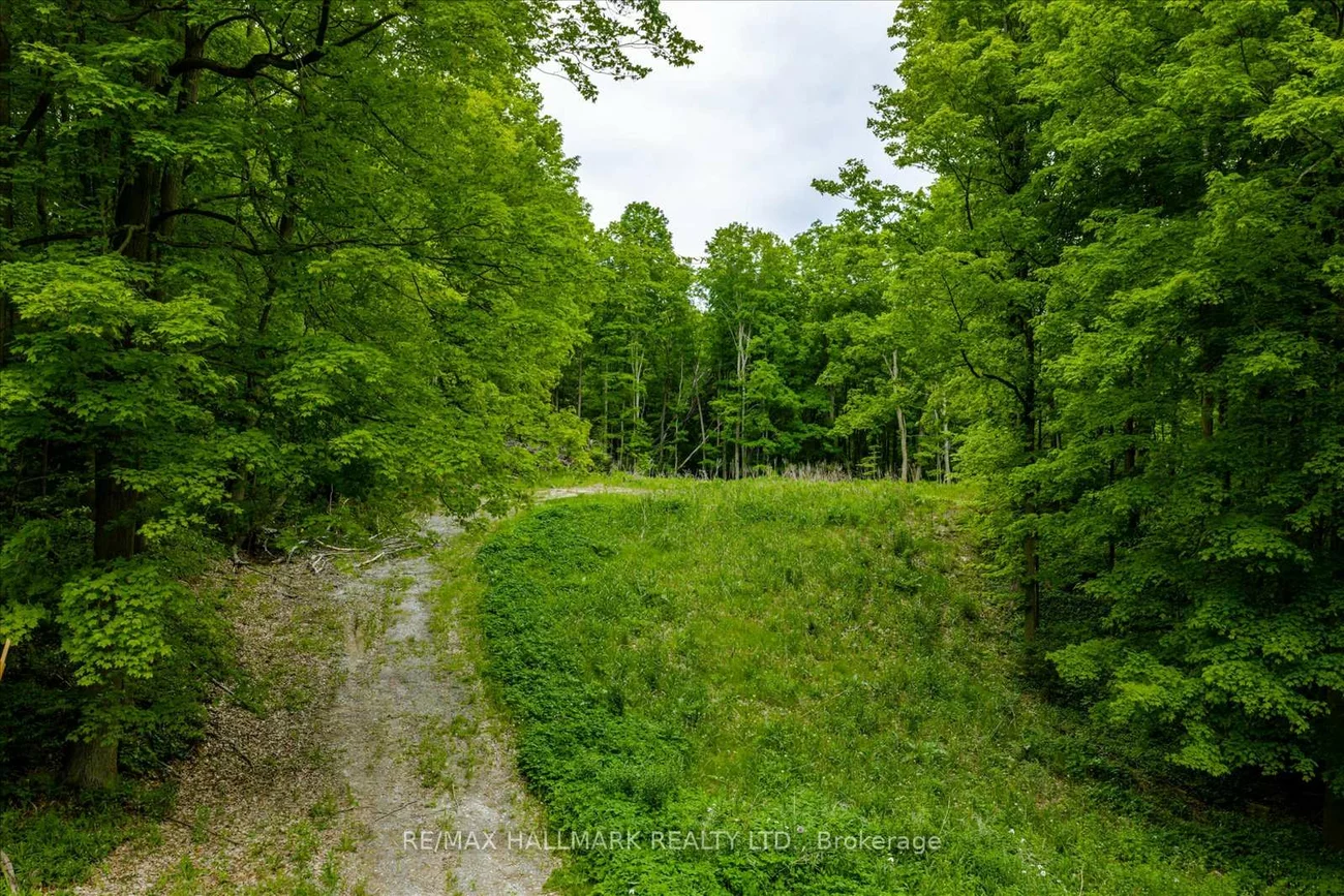 430, Churchill, Rural King, King