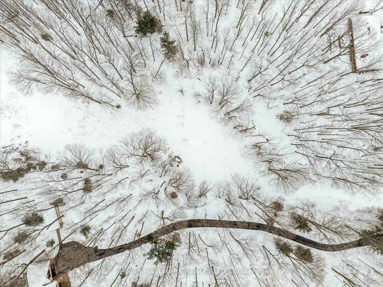 430, Churchill, Rural King, King