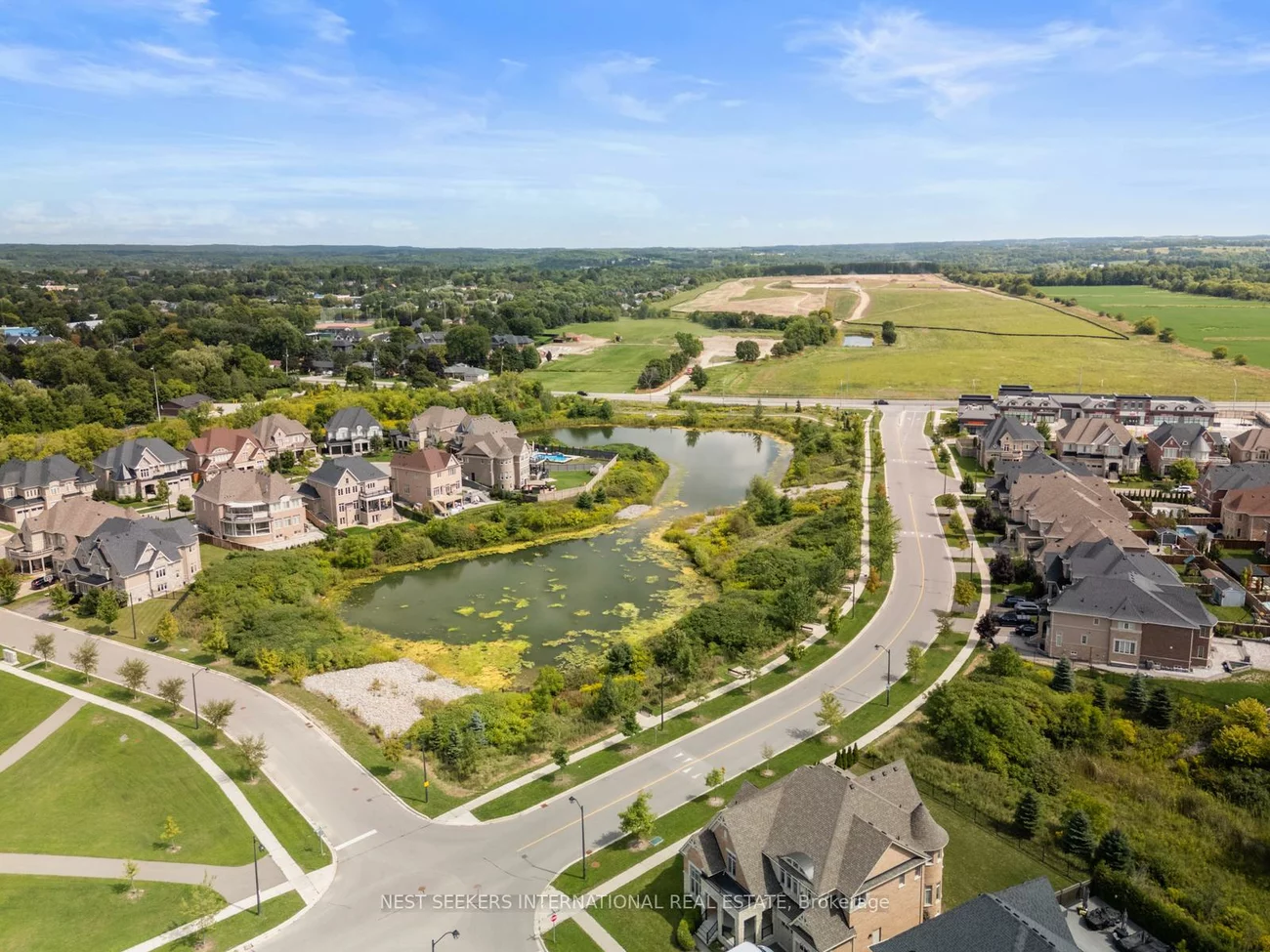 9, Larkin, Nobleton, King