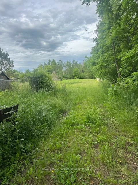 16469, 7th Concession, Pottageville, King