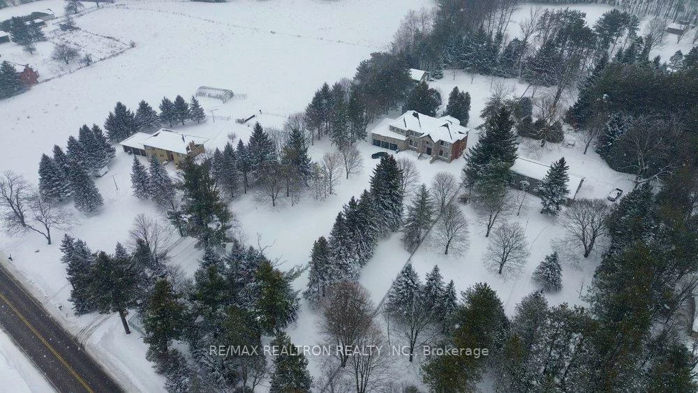 14705, Jane, King City, King