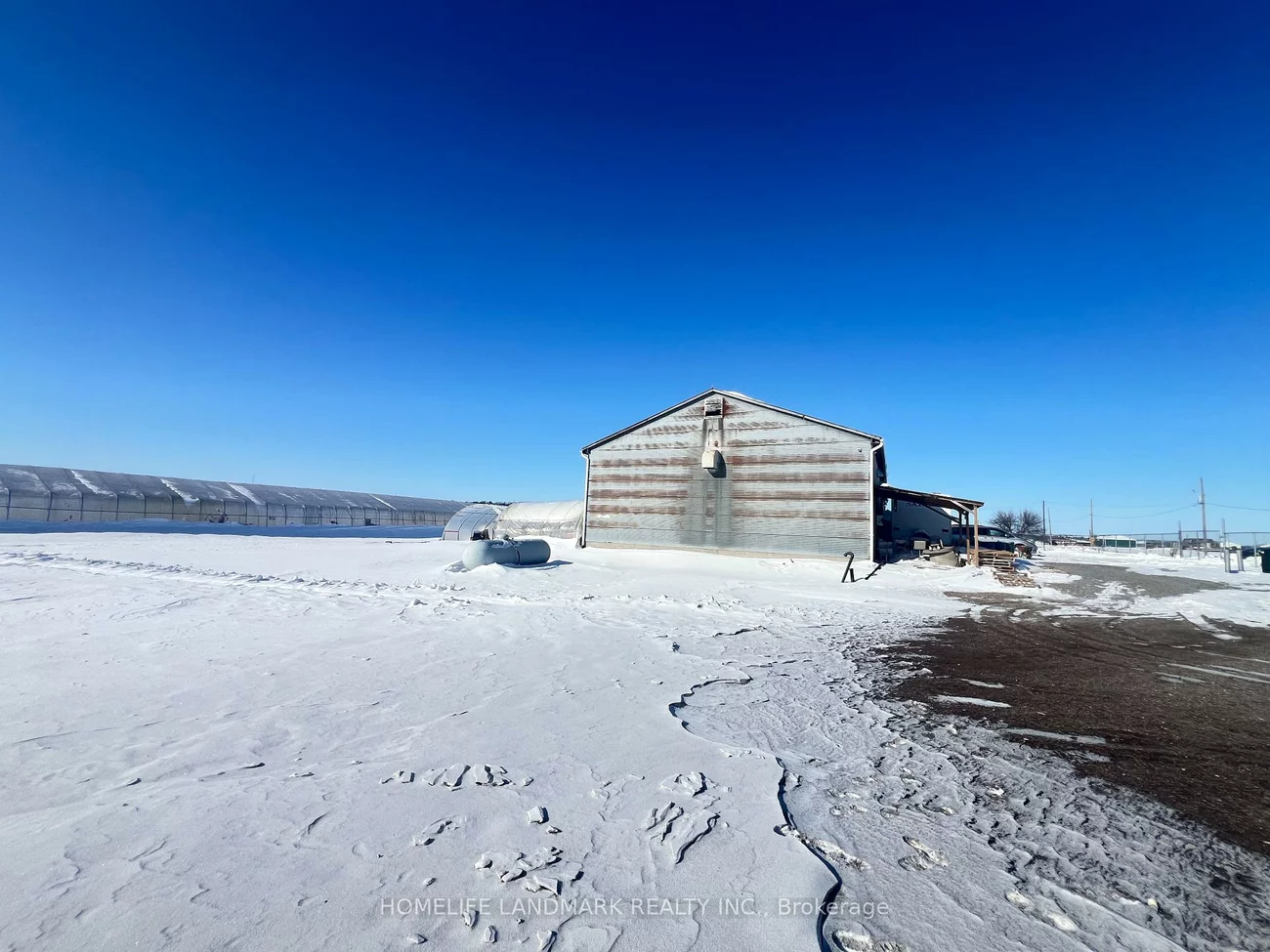 110, Aileen, Rural King, King