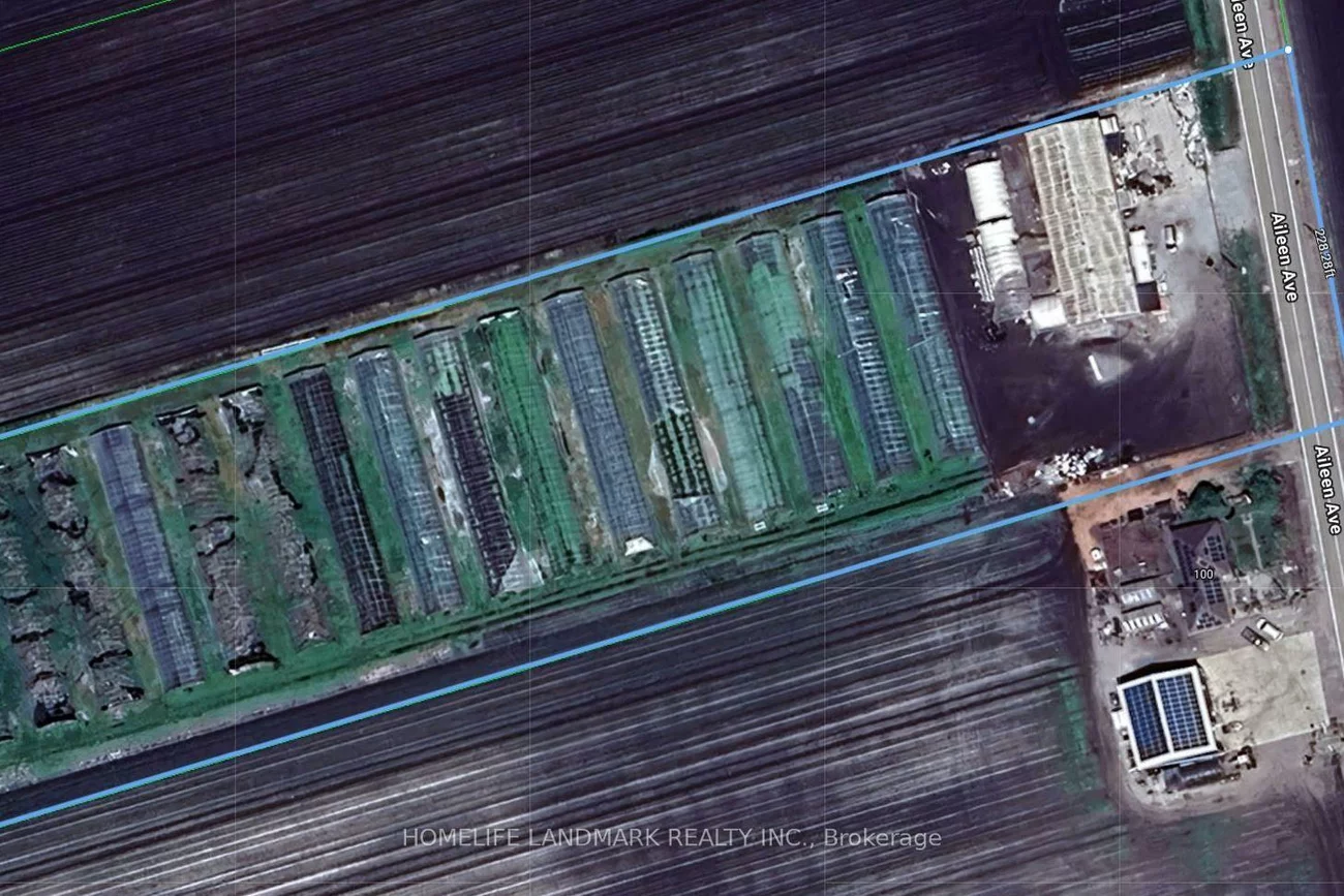 110, Aileen, Rural King, King