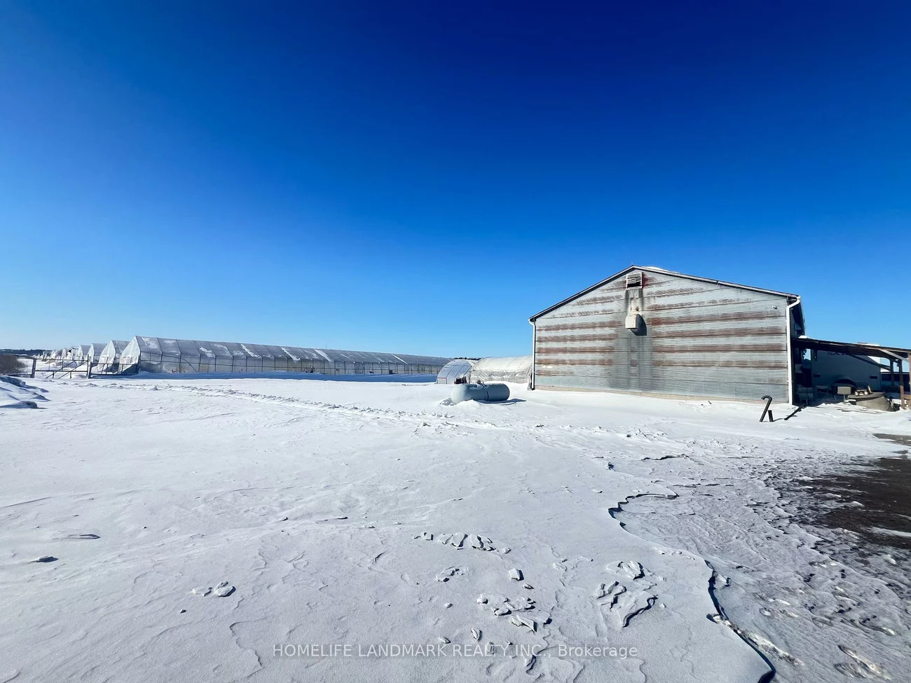 110, Aileen, Rural King, King