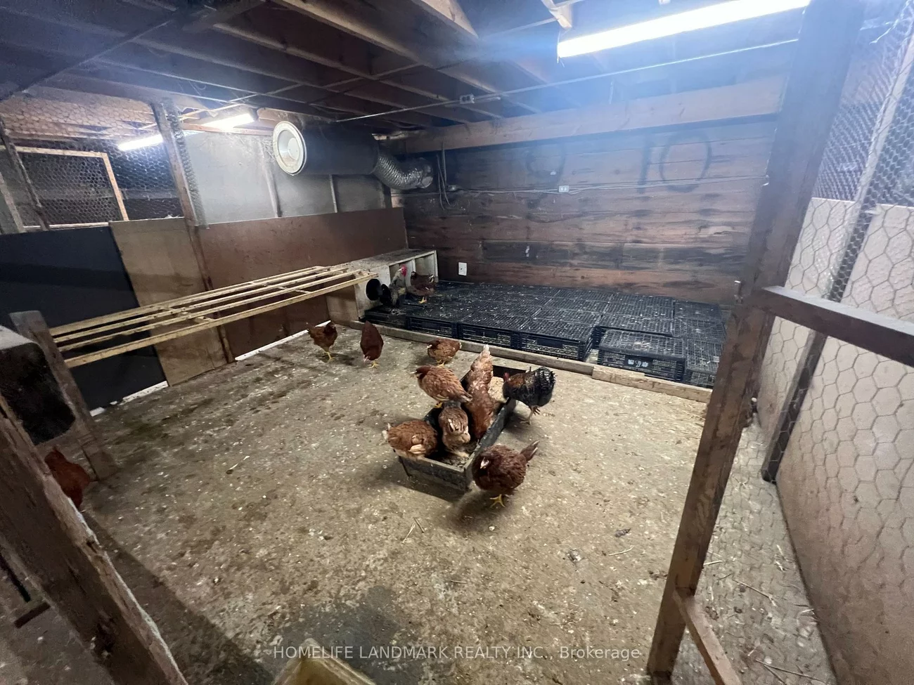 110, Aileen, Rural King, King