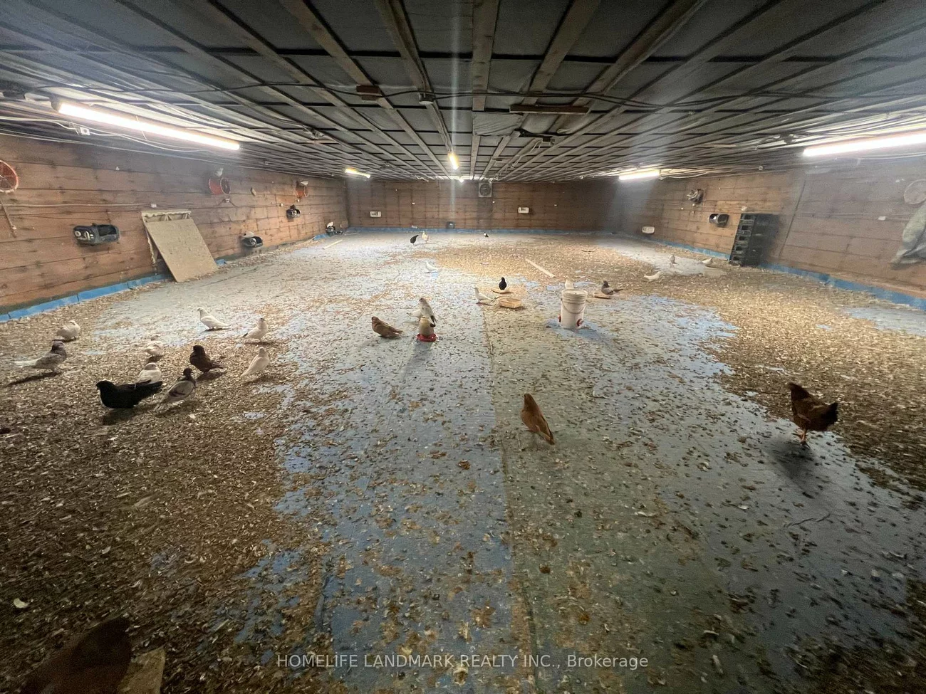 110, Aileen, Rural King, King