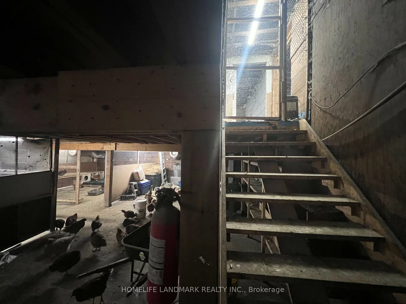 110, Aileen, Rural King, King