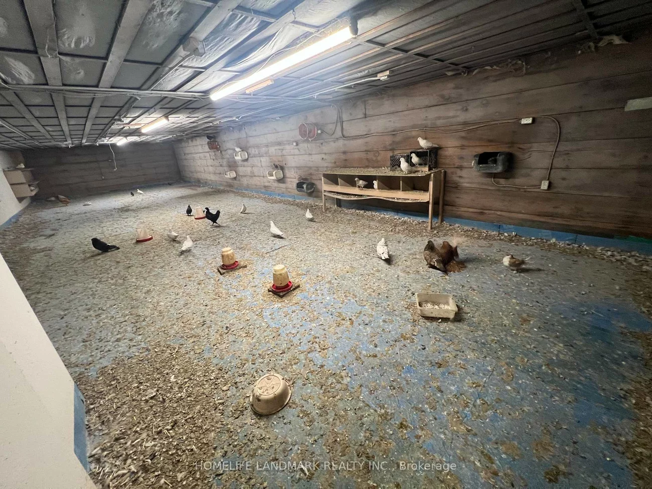 110, Aileen, Rural King, King