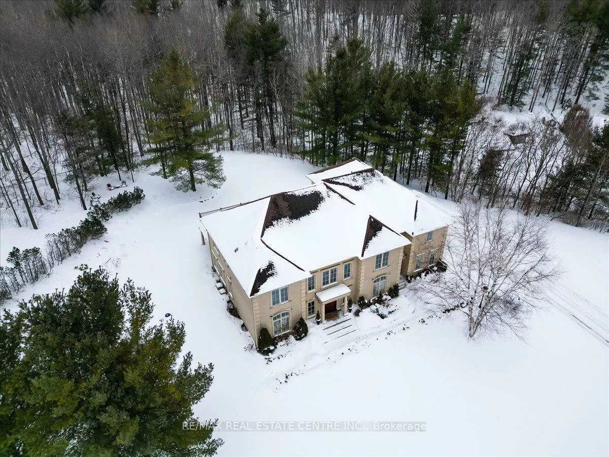 65, Kingswood, Rural King, King