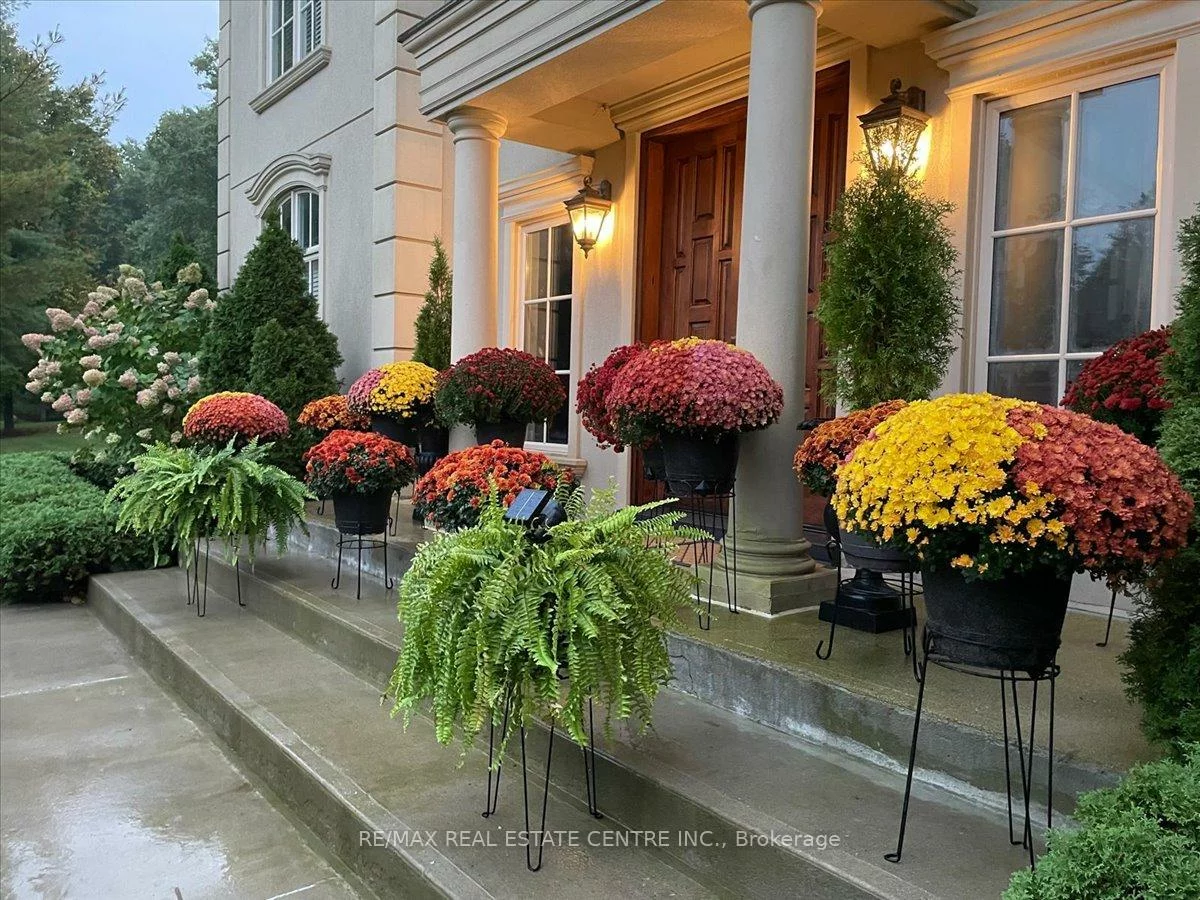 65, Kingswood, Rural King, King