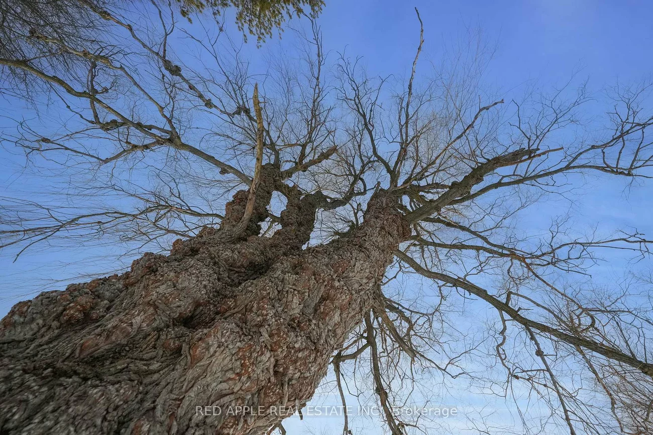 4905, Lloydtown-Aurora, Pottageville, King