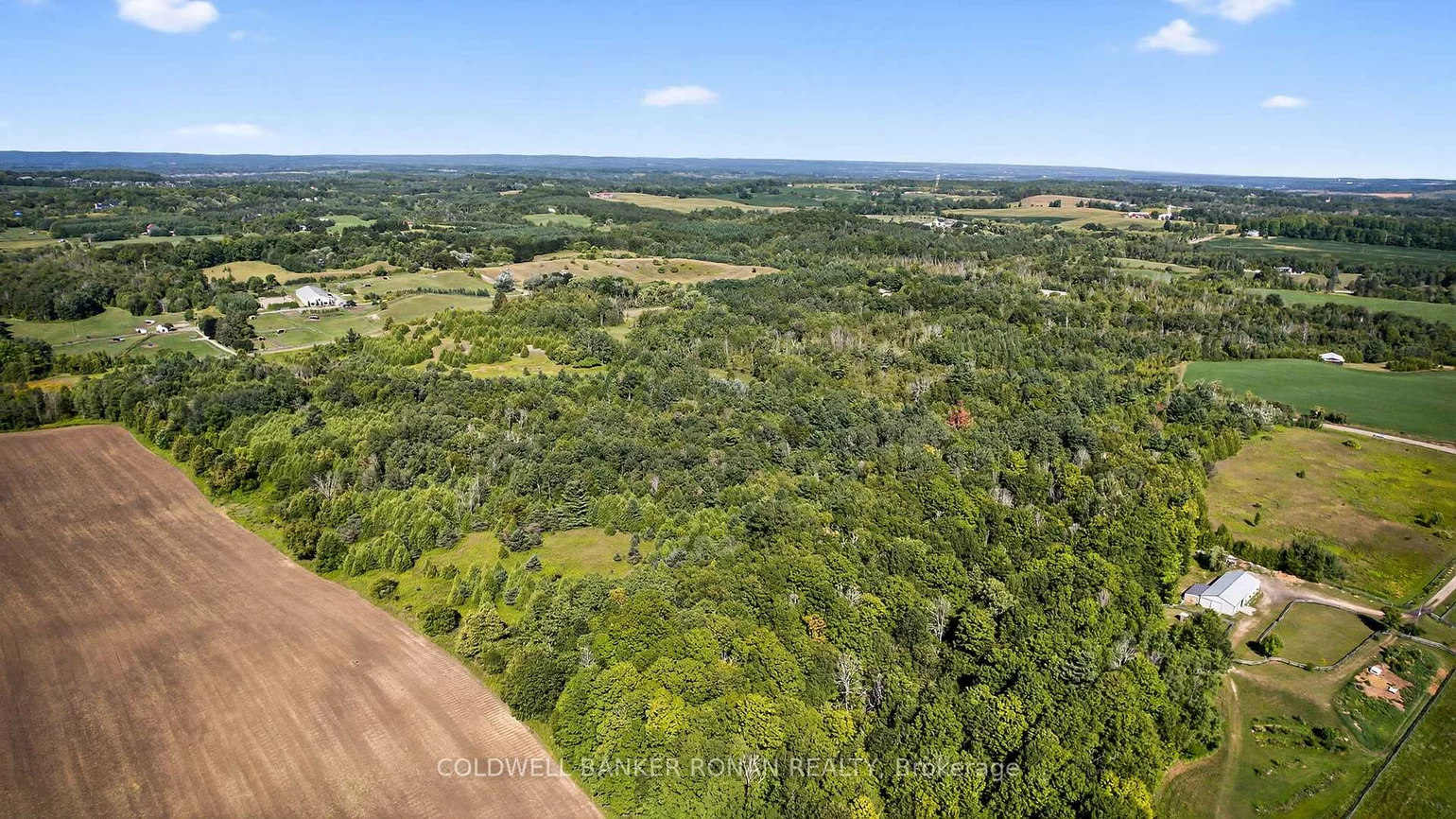 8155, 19th, Rural King, King