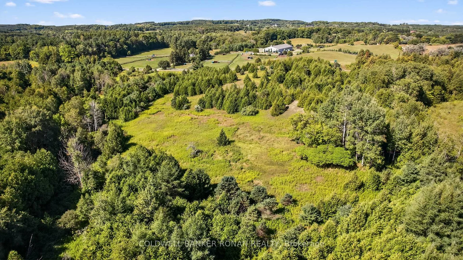 8155, 19th, Rural King, King