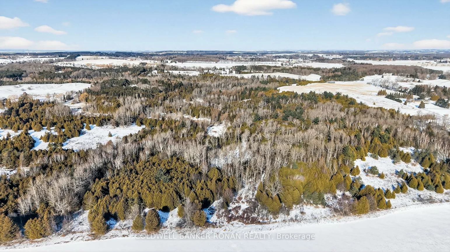 8155, 19th, Rural King, King