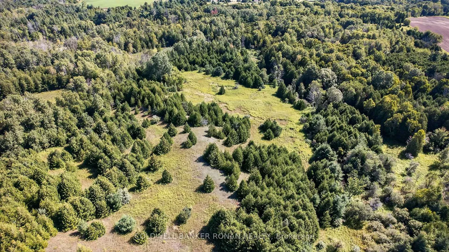 8155, 19th, Rural King, King