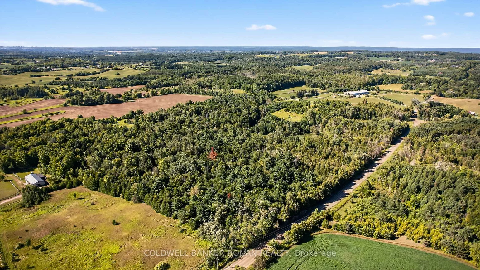 8155, 19th, Rural King, King