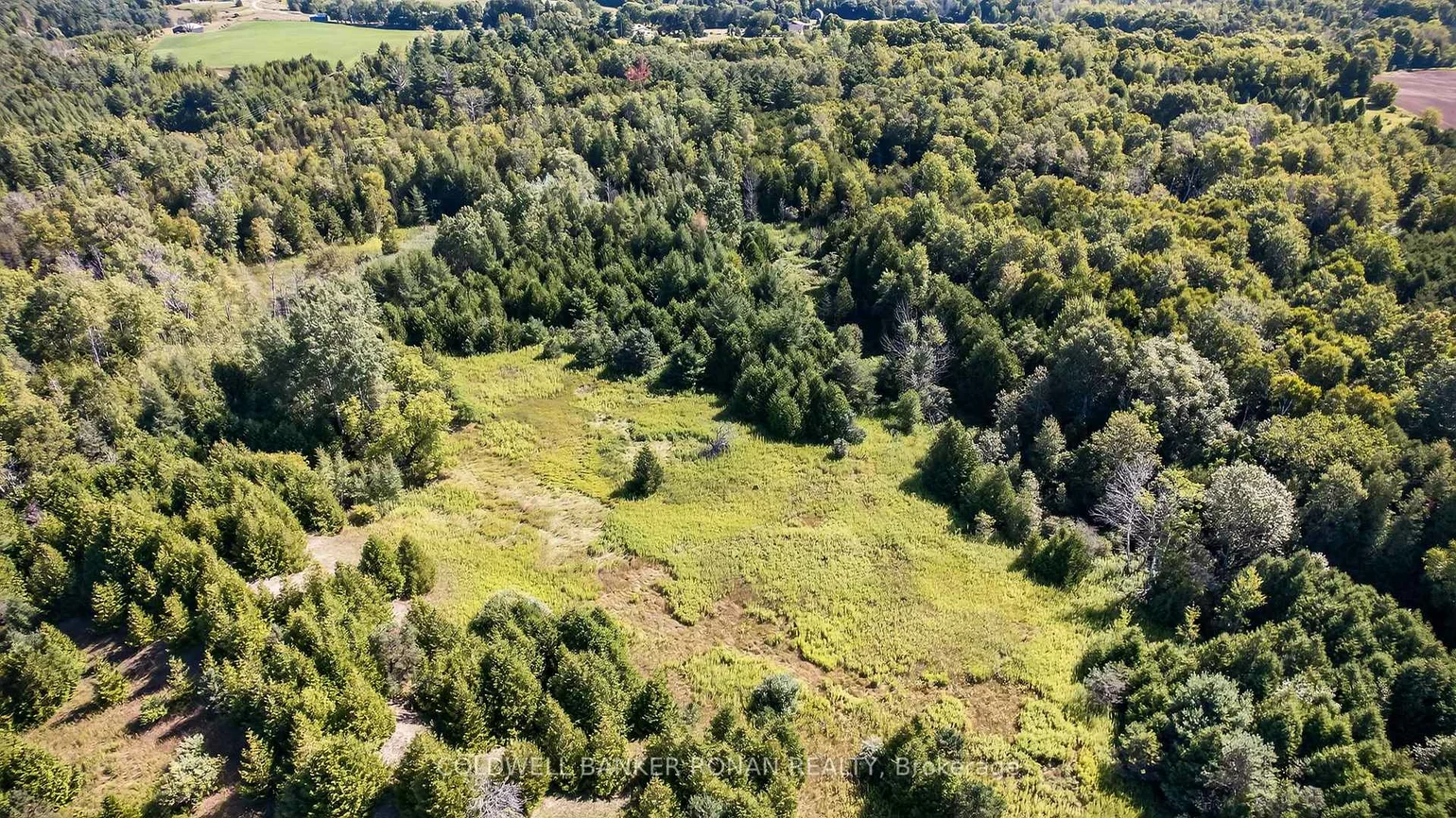 8155, 19th, Rural King, King