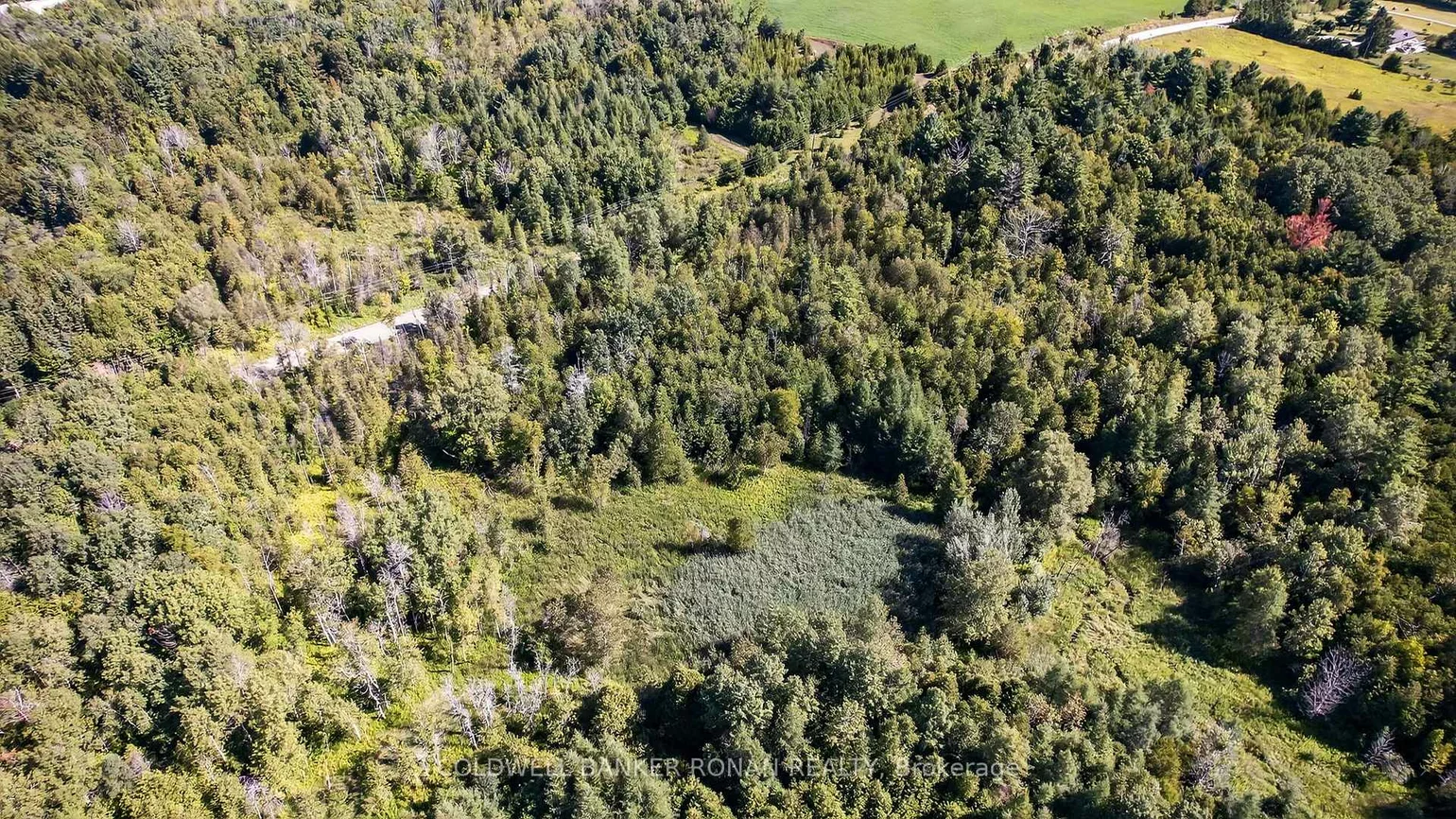 8155, 19th, Rural King, King