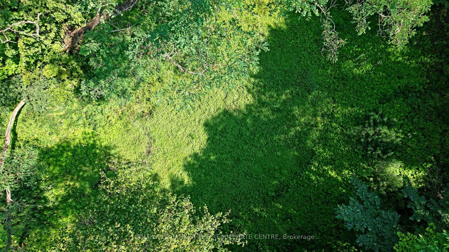 15600, Weston, Rural King, King