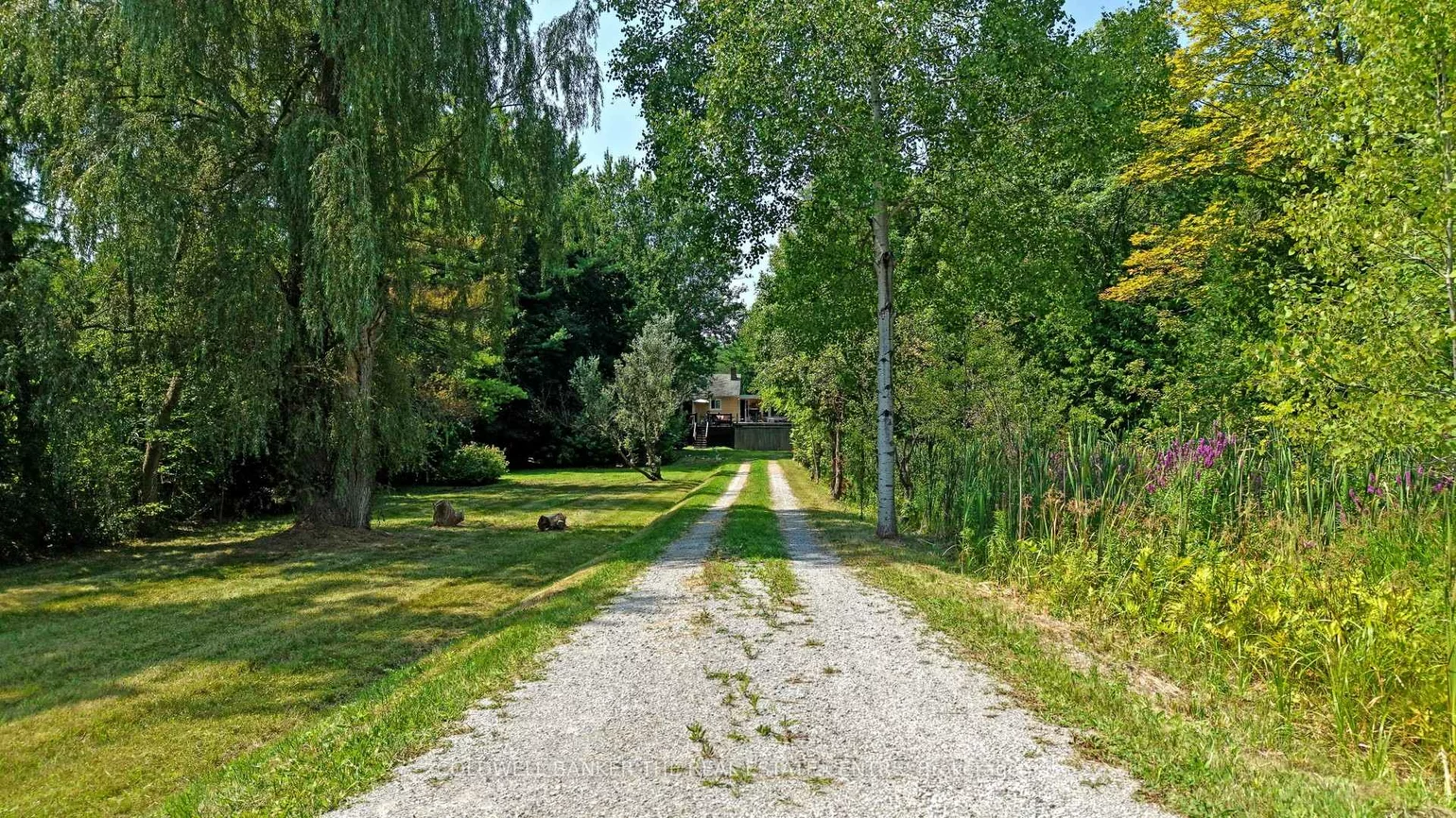 15600, Weston, Rural King, King