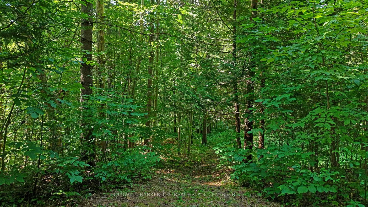 15600, Weston, Rural King, King