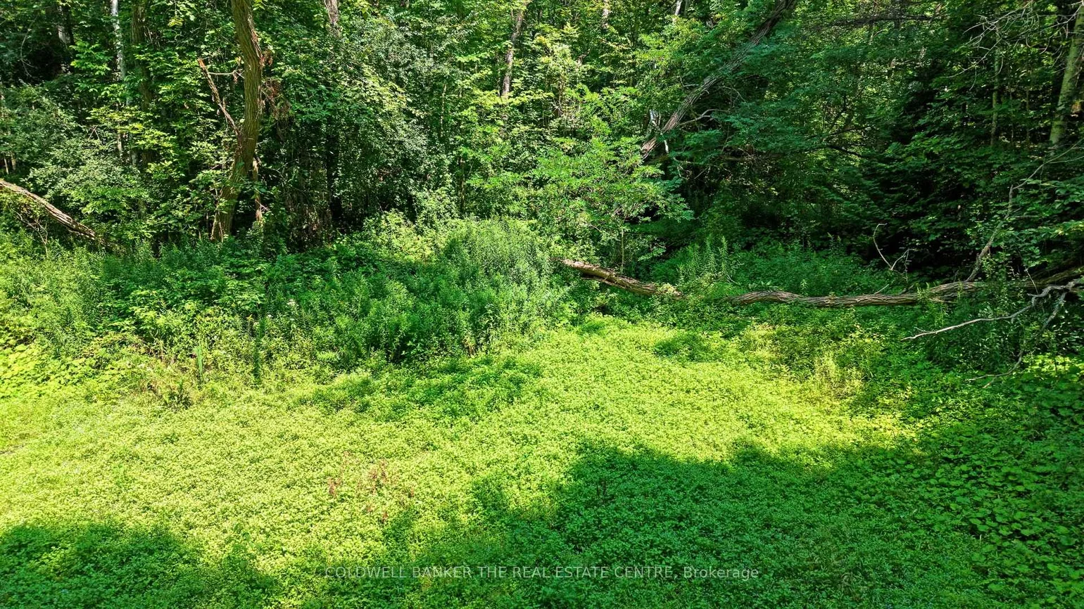 15600, Weston, Rural King, King