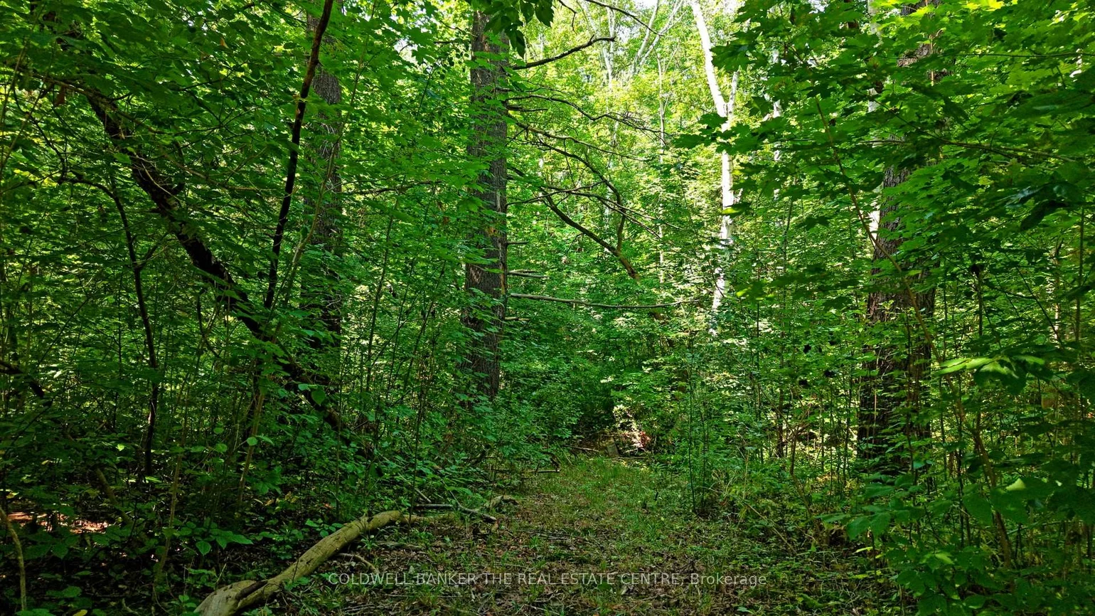 15600, Weston, Rural King, King