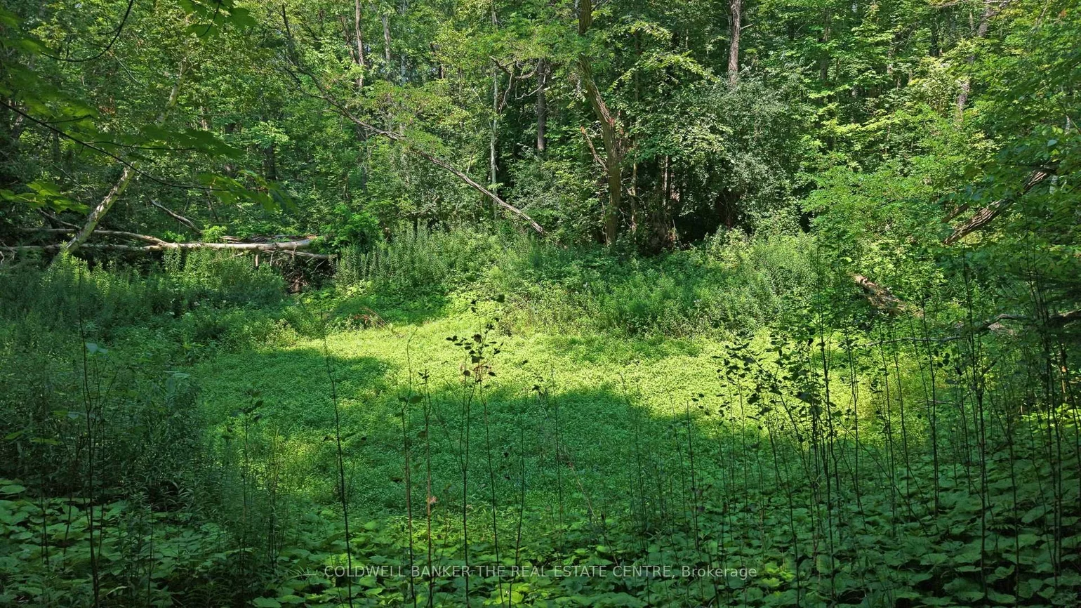 15600, Weston, Rural King, King