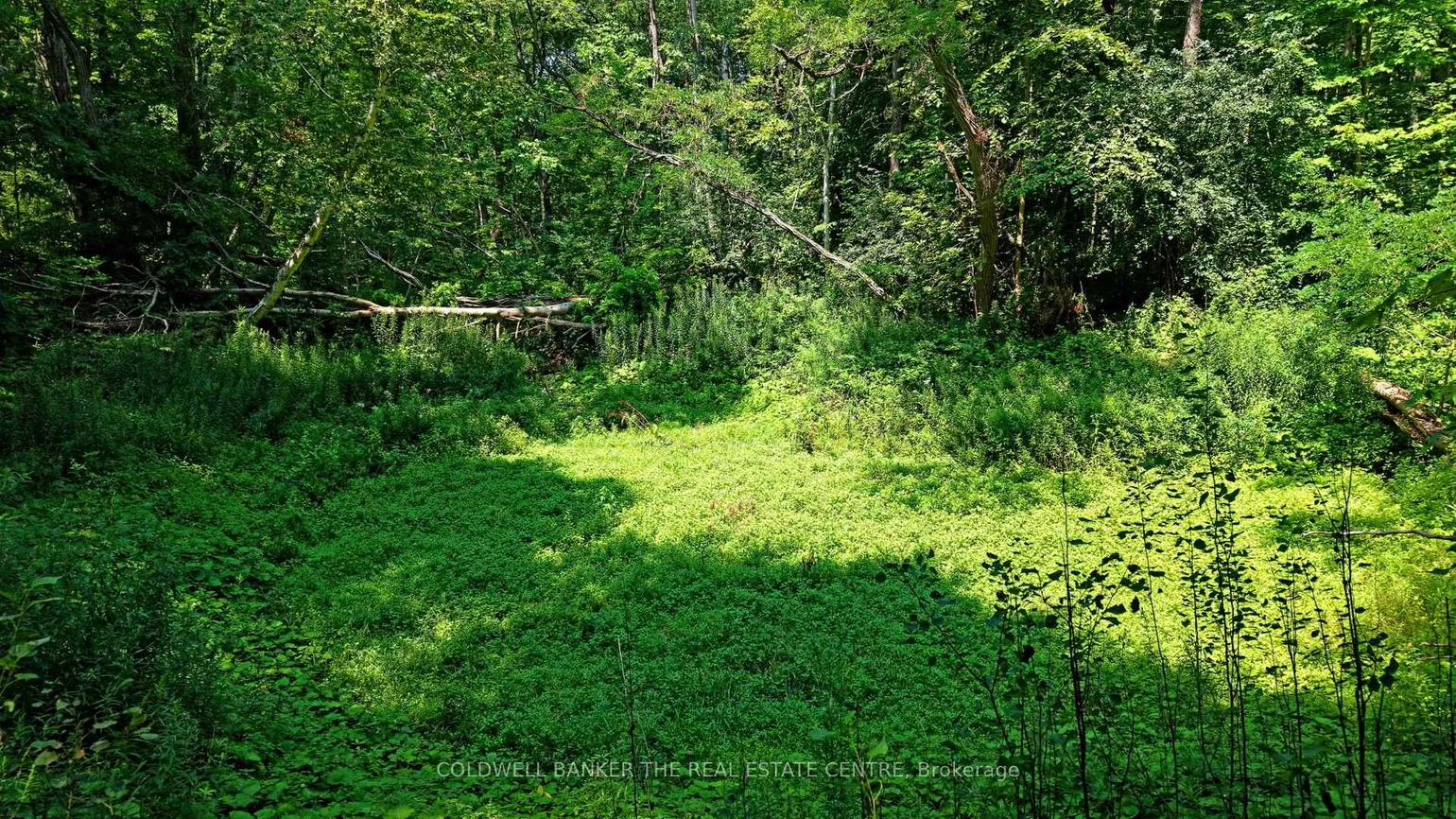 15600, Weston, Rural King, King