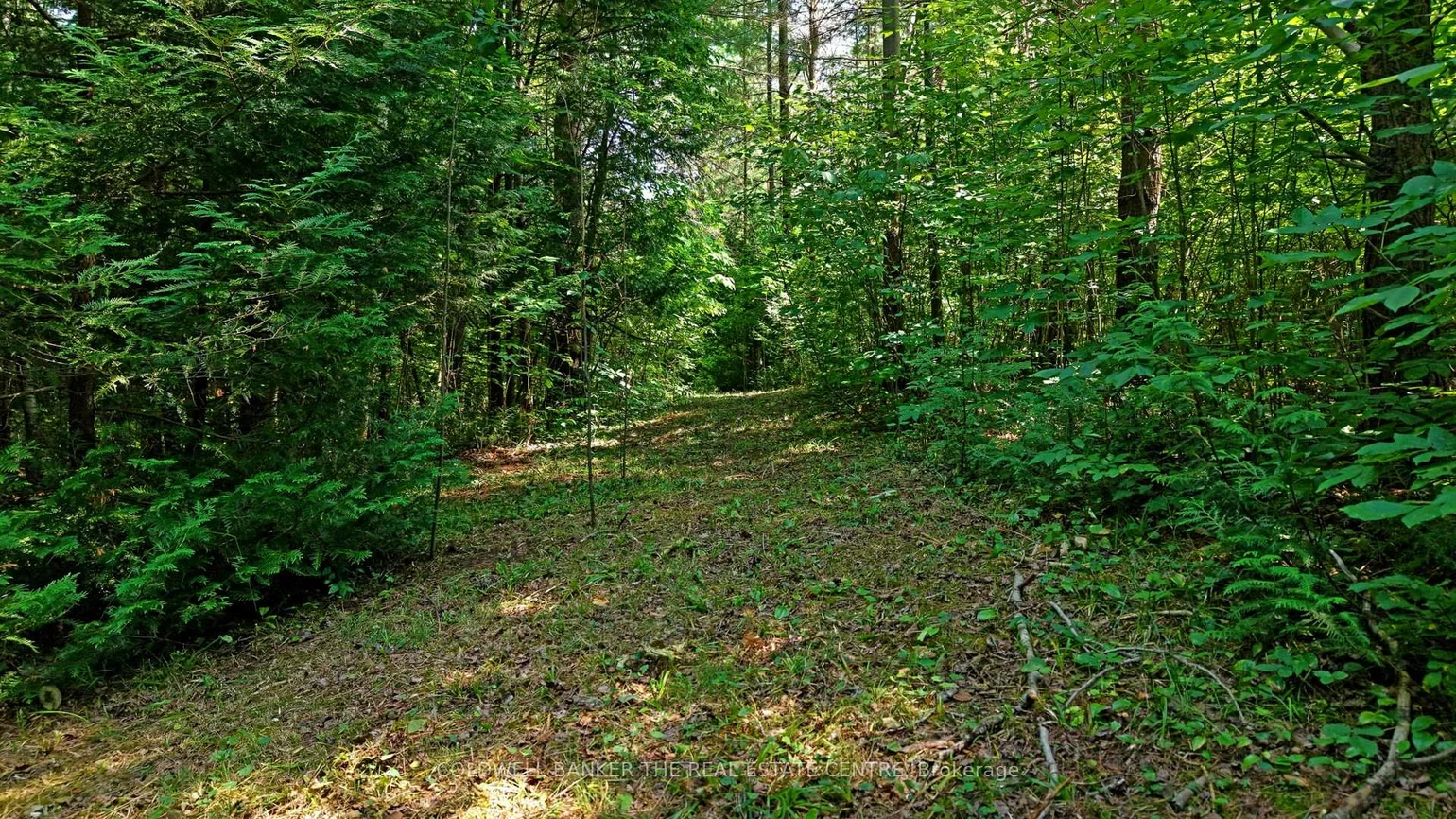 15600, Weston, Rural King, King