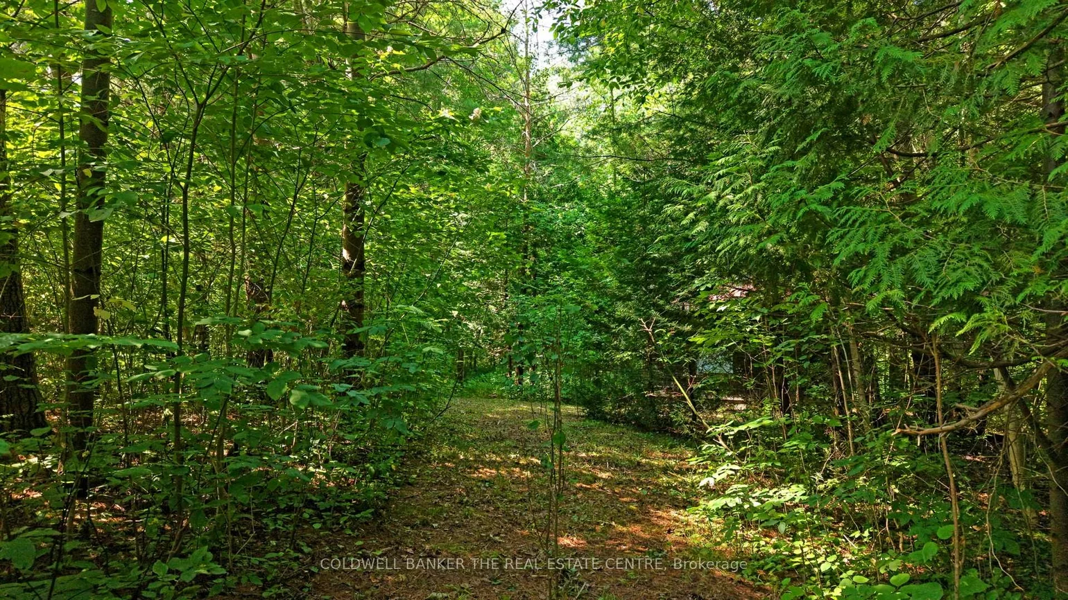 15600, Weston, Rural King, King