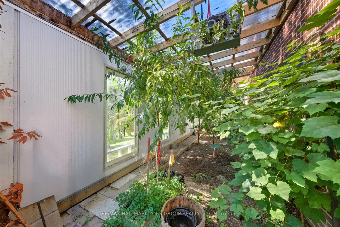 3815, King, Rural King, King