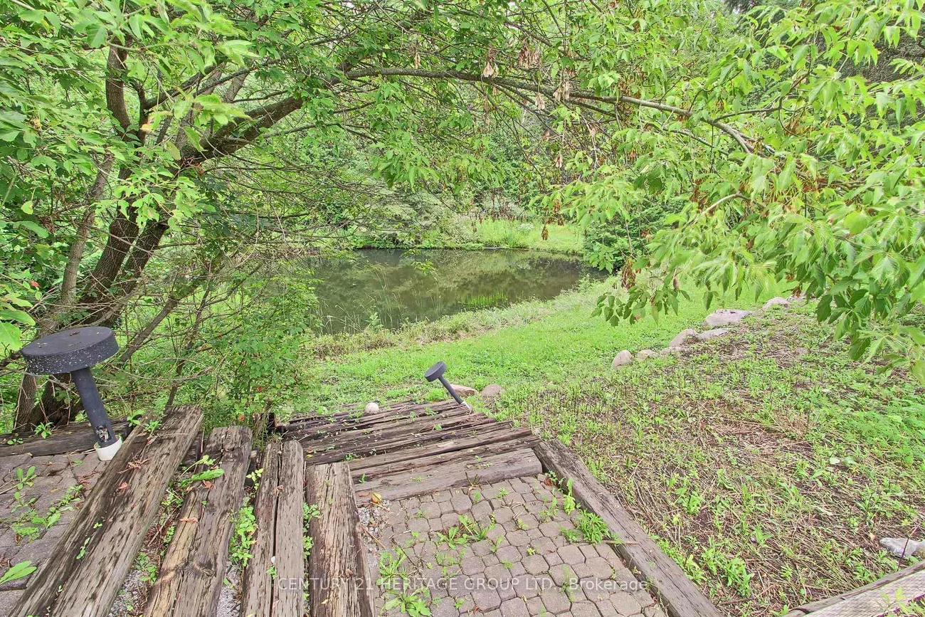 7670, 19th, Rural King, King