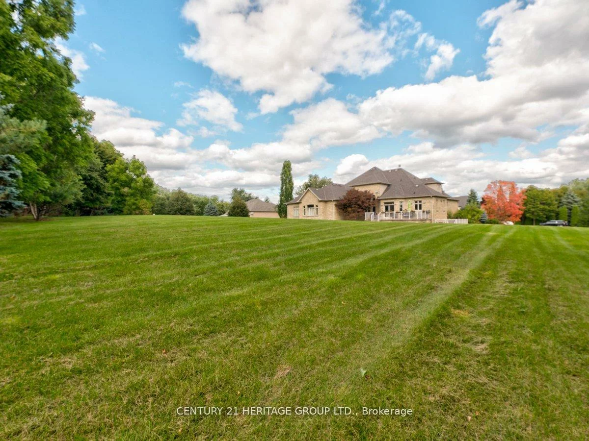 12, Prince Adam, Rural King, King