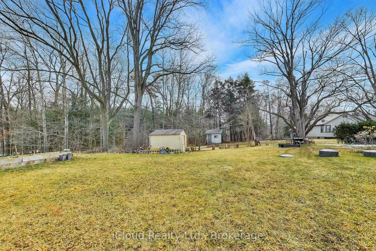 16175, Jane, Rural King, King