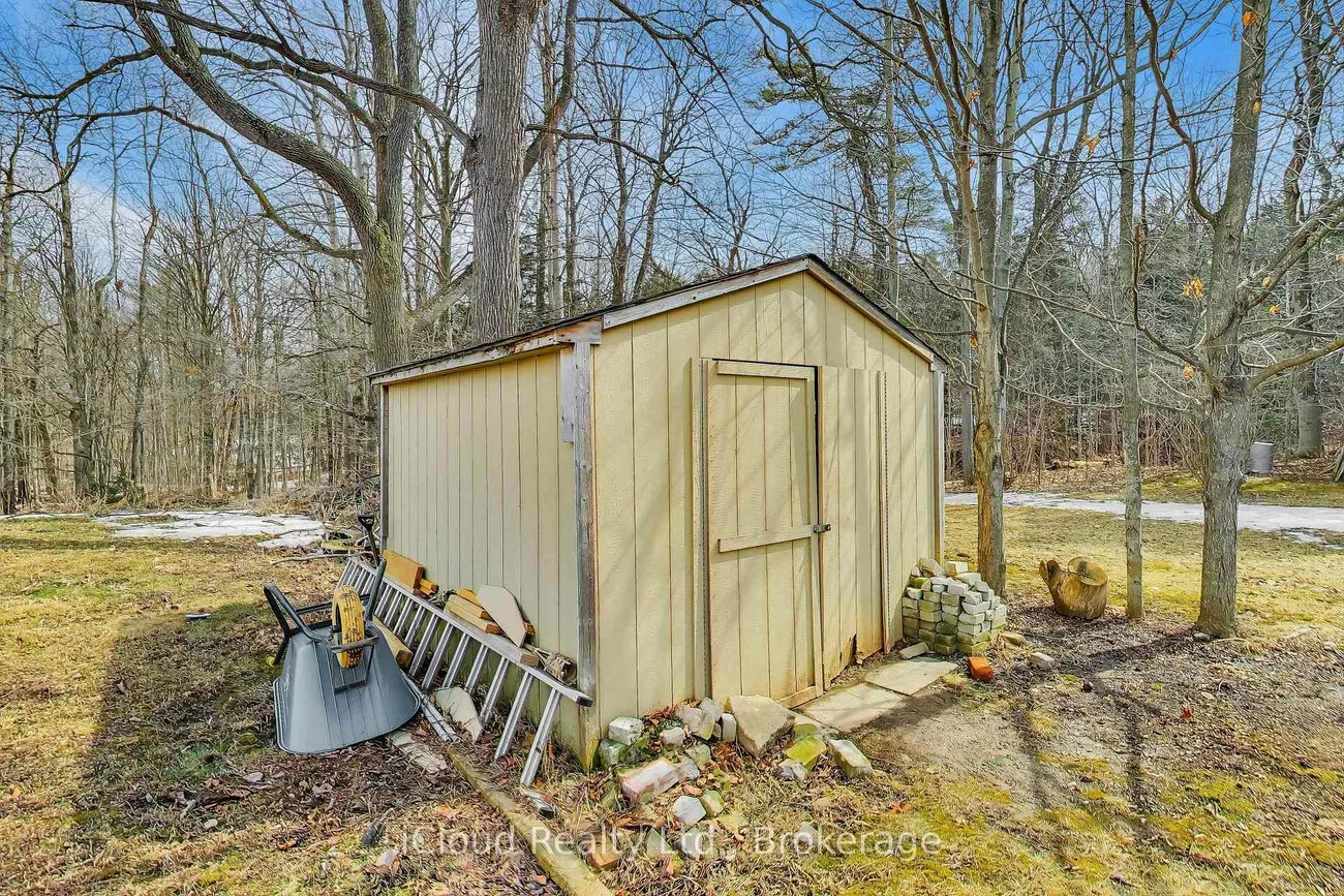 16175, Jane, Rural King, King