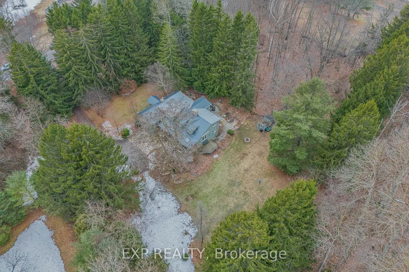 115, Fog, Rural King, King