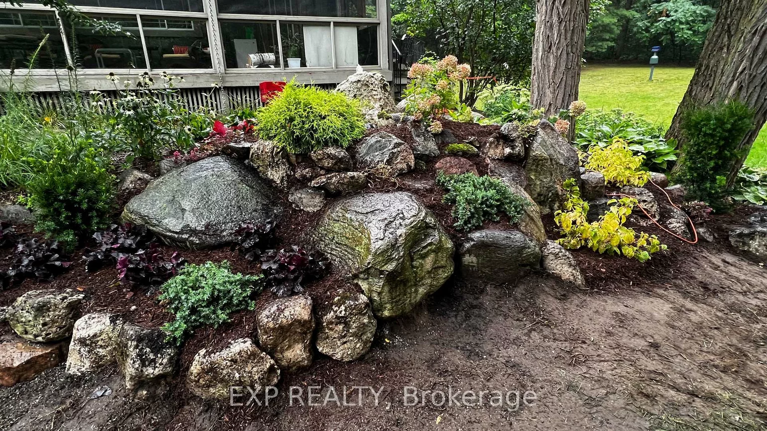 115, Fog, Rural King, King