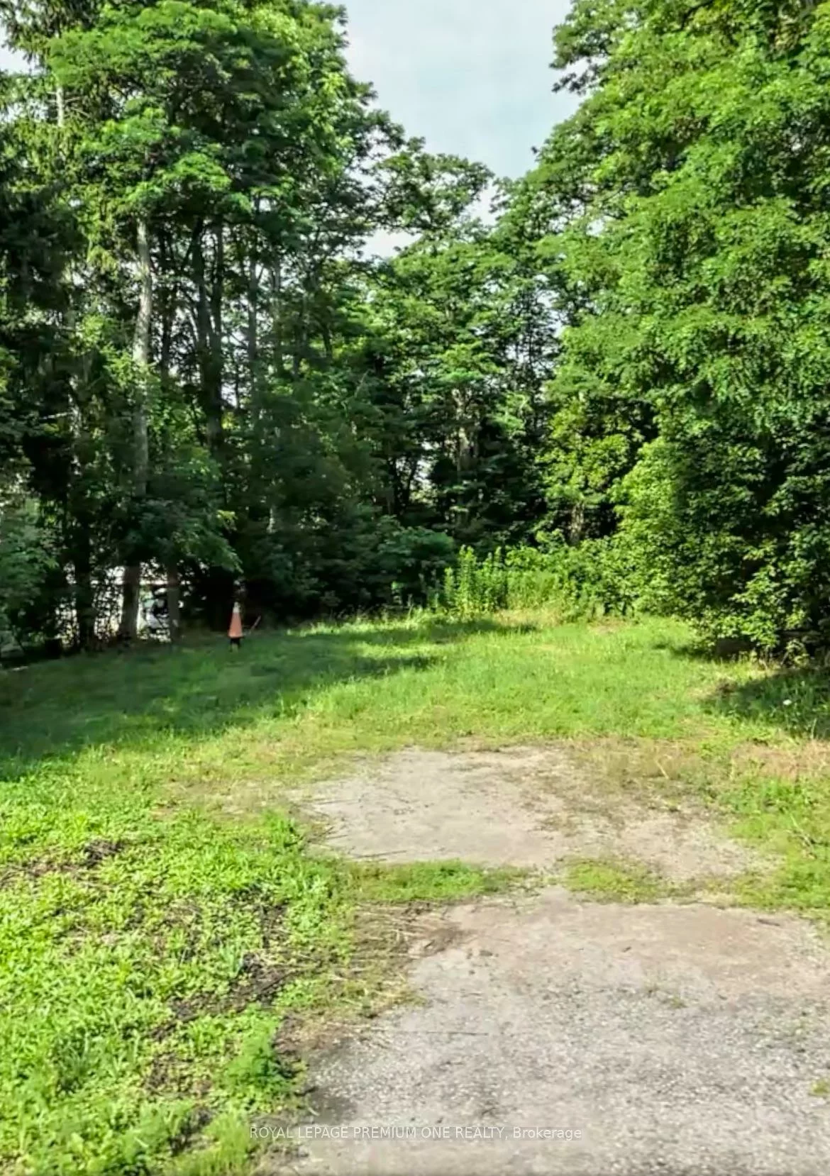 12840, Weston, Rural King, King