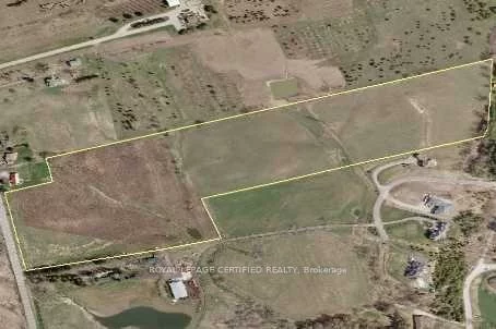 16555, Jane, Rural King, King