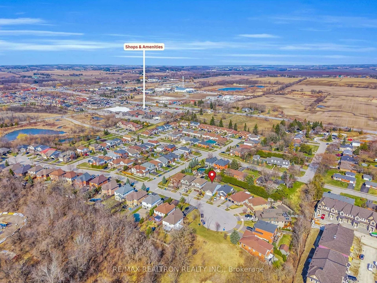 17, Marchant, Schomberg, King