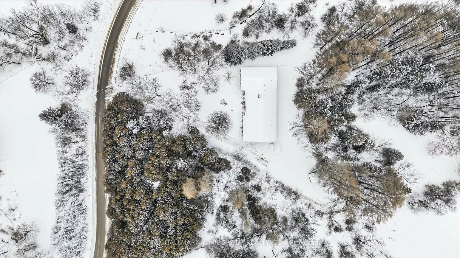 570, Kettleby, Rural King, King