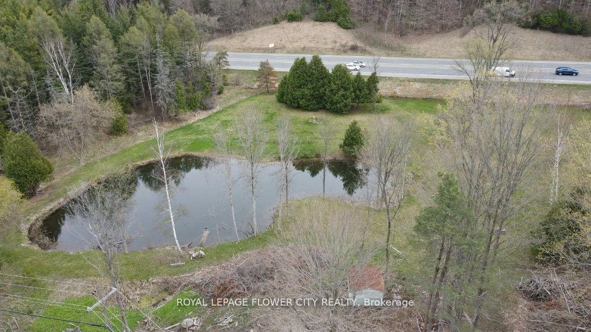 225, GLENVILLE RD, Rural King, King