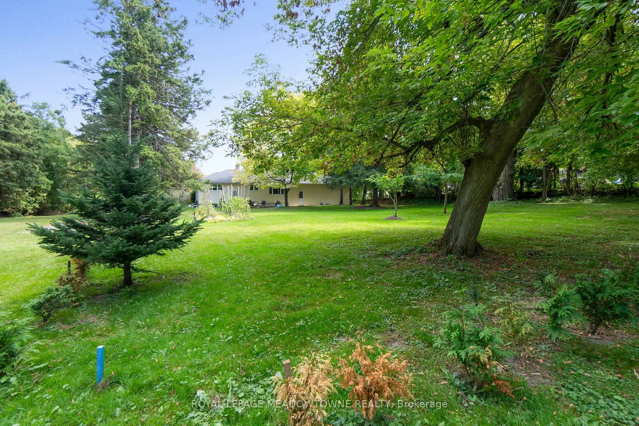 208, Martin, King City, King