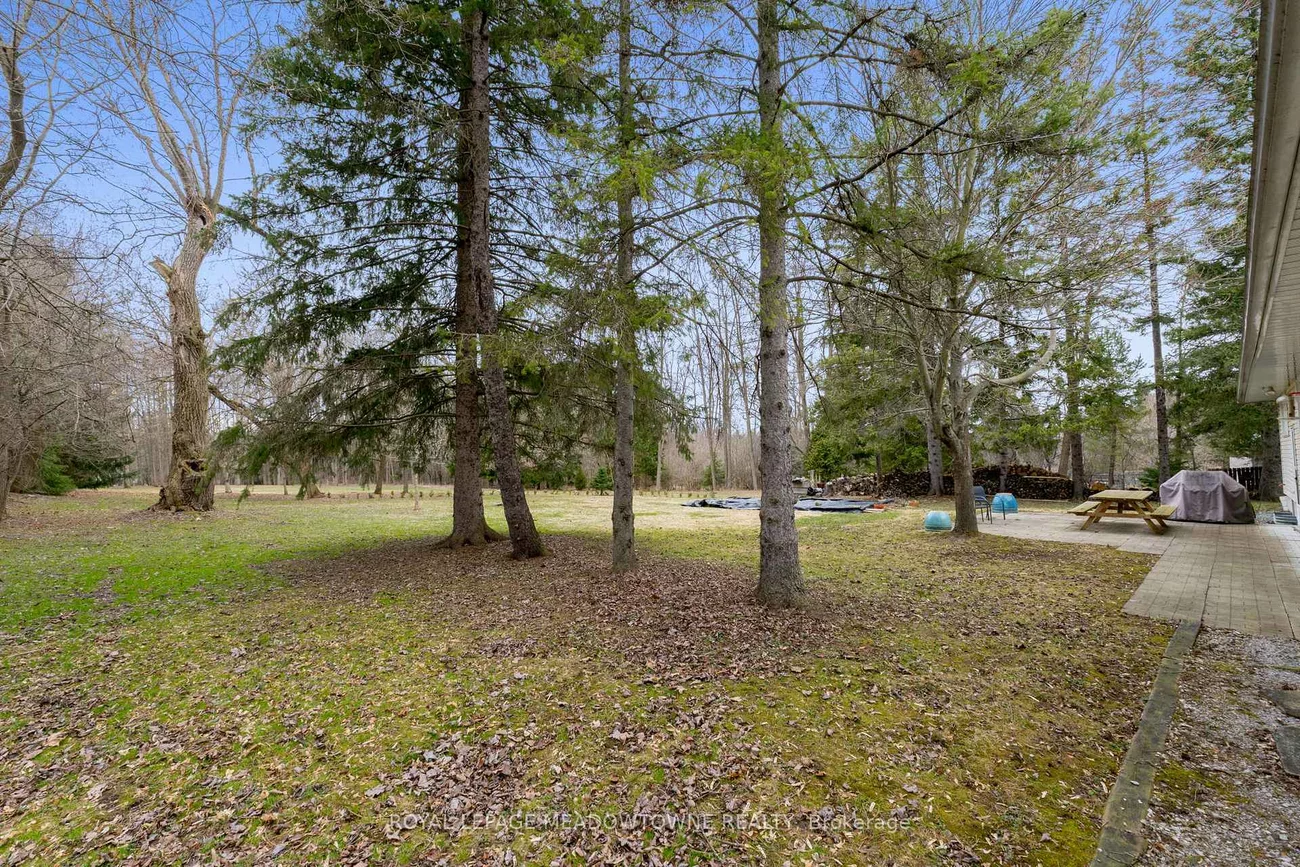 208, Martin, King City, King