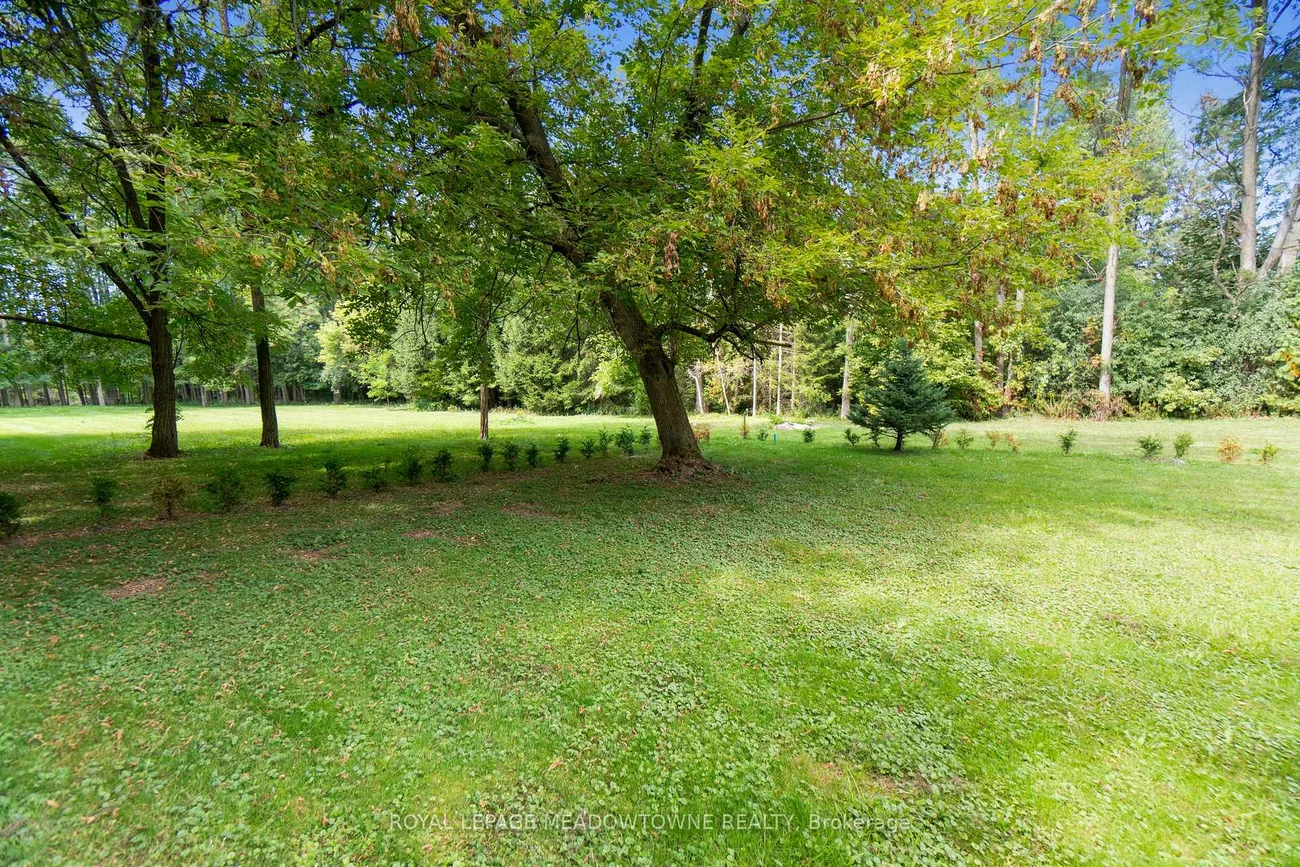 208, Martin, King City, King